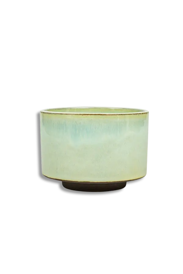 Matcha bolle Haru